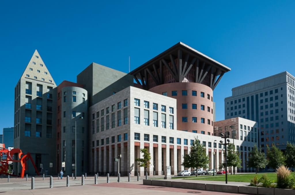 Denver Public Library works with Envisio