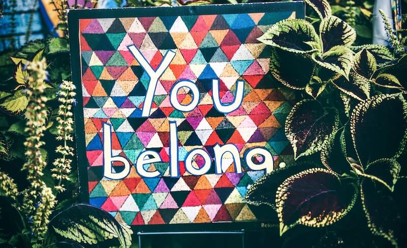 Artwork saying "You Belong" for DEI Strategic Plan Examples Blog