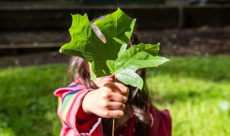 Image of girl holding green leaf