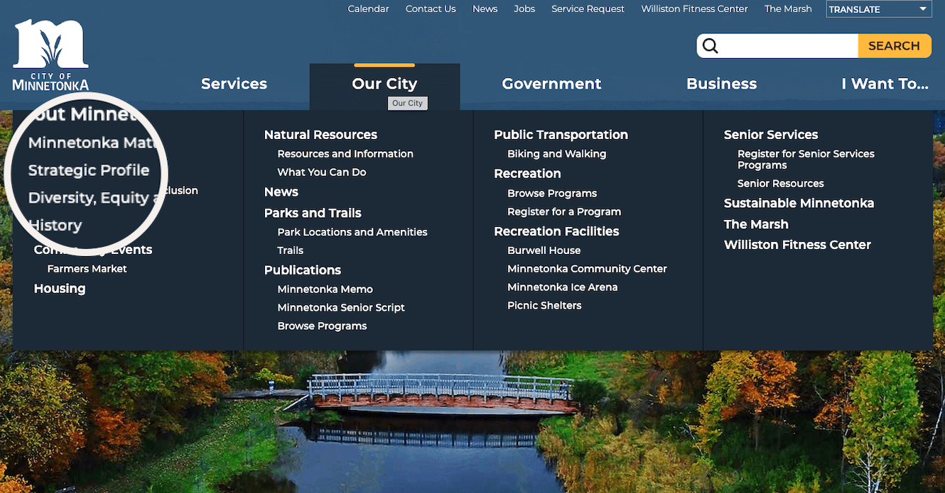City of Minnetonka Strategic Profile Homepage
